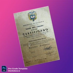 Blank Colombia Agustin Nieto Caballero Institute High School Diploma Document Preview - BlankDocs