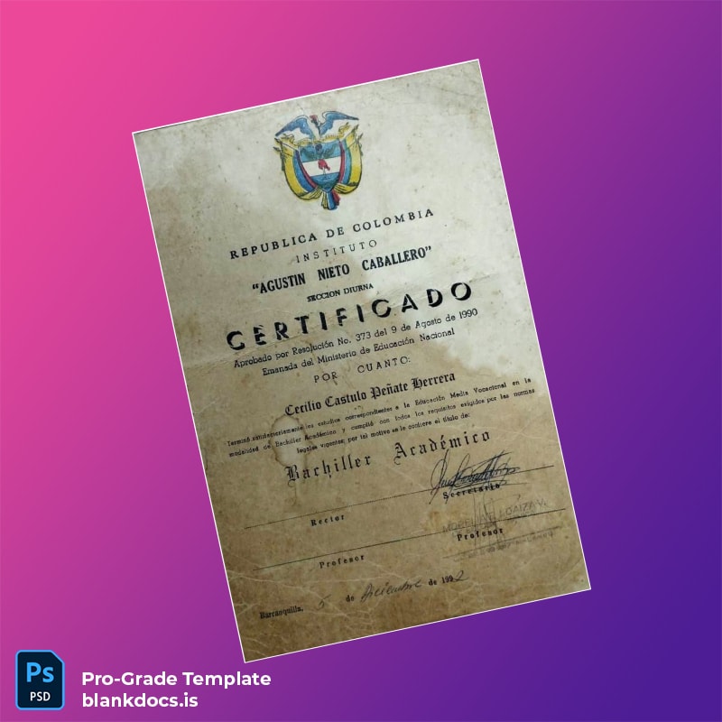 Blank Colombia Agustin Nieto Caballero Institute High School Diploma Document Preview - BlankDocs