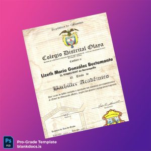 Blank Colombia Colegio Distrital Olaya Academic Bachelor Certificate Document Preview - BlankDocs