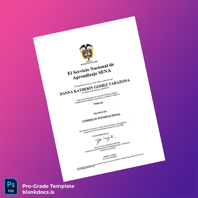 Blank Colombia Colegio Metropolitano del Sur Bachelor of Technical Commercial Education with Emphasis in International Business Diploma page 3 Document Preview - BlankDocs