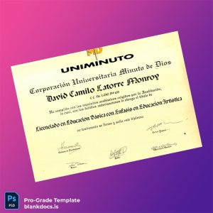 Blank Colombia Corporación Universitaria Minuto de Dios Licentiate in Basic Education with Emphasis in Artistic Education Template Document Preview - BlankDocs