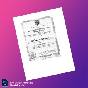 Blank Colombia El Colegio Oficial Departamental Simón Bolívar High School Diploma Document Preview - BlankDocs