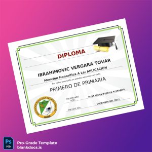 Blank Colombia Institución Educativa Celmira Huertas Primero de Primaria Diploma Template Document Preview - BlankDocs