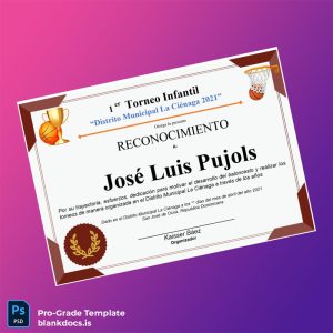 Blank Dominican Republic Recognition Certificate for José Luis Pujols Document Preview - BlankDocs