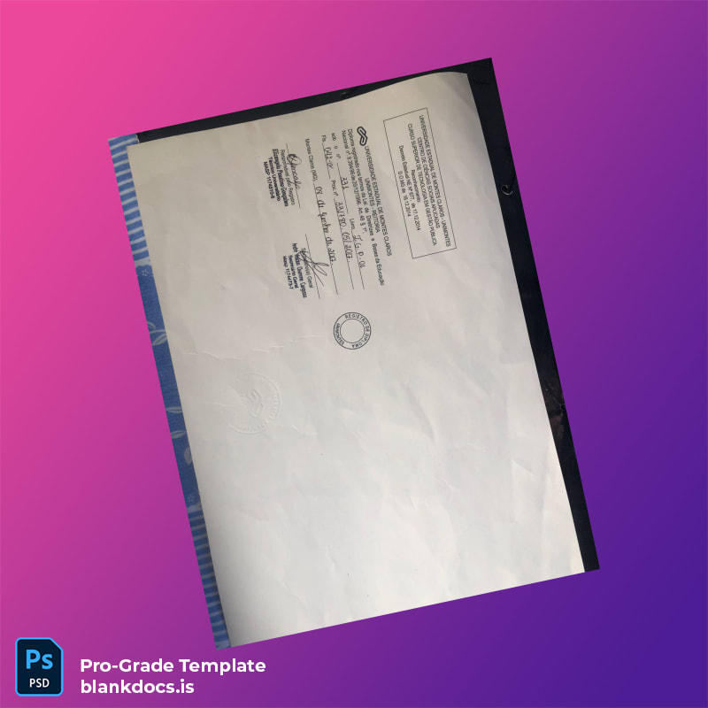 Blank Ecuador Universidad Estatal de Montes Claros High School Diploma Document Preview - BlankDocs