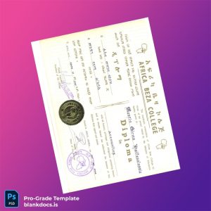 Blank Ethiopia Africa Beza College Diploma in Accounting Document Preview - BlankDocs