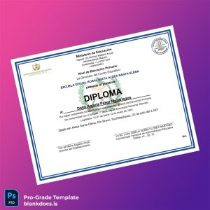 Blank Guatemala Escuela Oficial Rural Mixta Aldea Santa Elena Primary Education Diploma Document Preview - BlankDocs