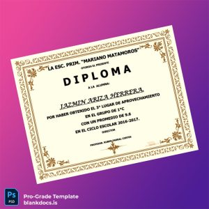Blank Mexico School _Mariano Matamoros_ Diploma Certificate Document Preview - BlankDocs