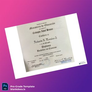 Blank Panama Colegio Abel Bravo High School Diploma Document Preview - BlankDocs