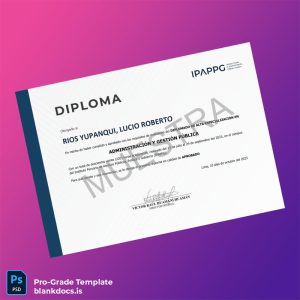 Blank Peru Institute of Public Affairs, Politics, and Government Diploma in High Specialization in Public Administration and Management Template Document Preview - BlankDocs