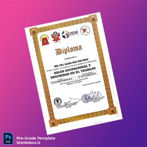 Blank Peru Universidad Nacional _San Luis Gonzaga_ Diploma in Occupational Health and Safety Document Preview - BlankDocs