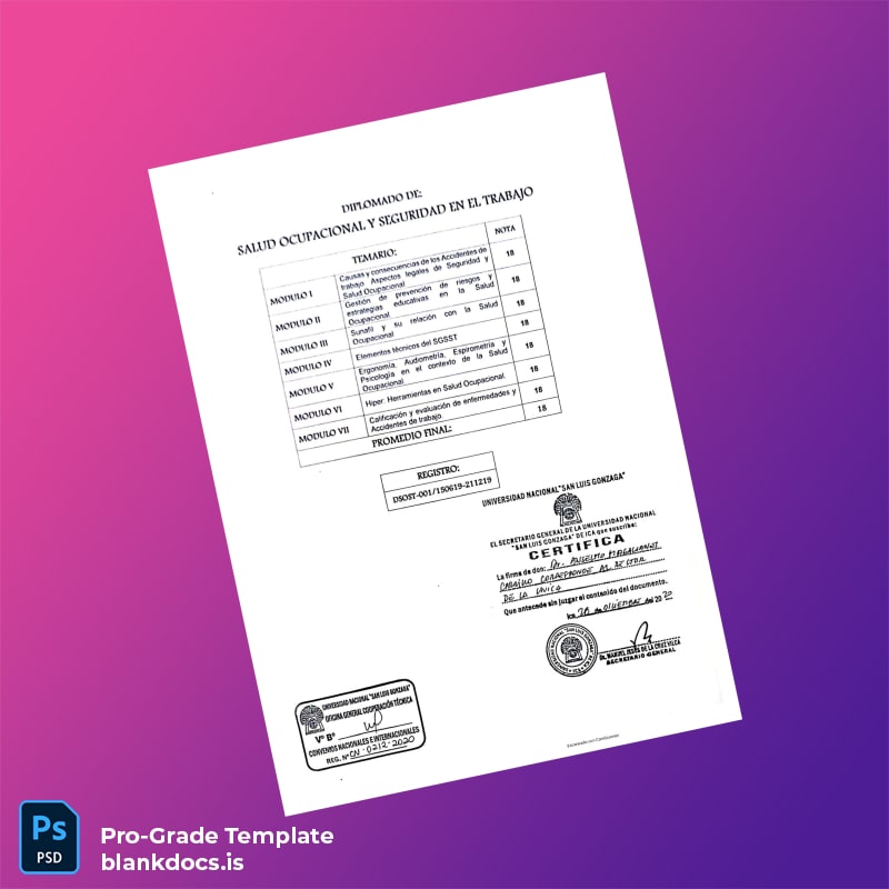 Blank Peru Universidad Nacional _San Luis Gonzaga_ Diploma in Occupational Health and Safety page 2 Document Preview - BlankDocs