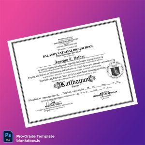 Blank Philippines Bal Ason National High School High School Diploma Document Preview - BlankDocs