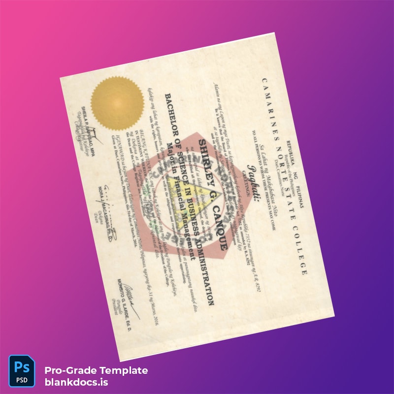 Blank Philippines Camarines Norte State College Bachelor of Science in Business Administration Document Preview - BlankDocs