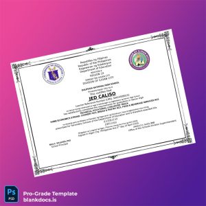 Blank Philippines Dalipuga National High School High School Diploma Document Preview - BlankDocs