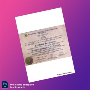 Blank Philippines De Los Santos - STI College of Health Professions Bachelor of Science in Nursing Template Document Preview - BlankDocs