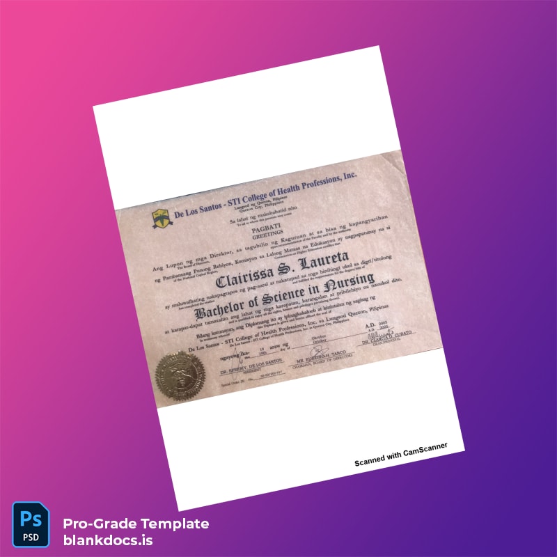 Blank Philippines De Los Santos - STI College of Health Professions Inc Bachelor of Science in Nursing Template Document Preview - BlankDocs