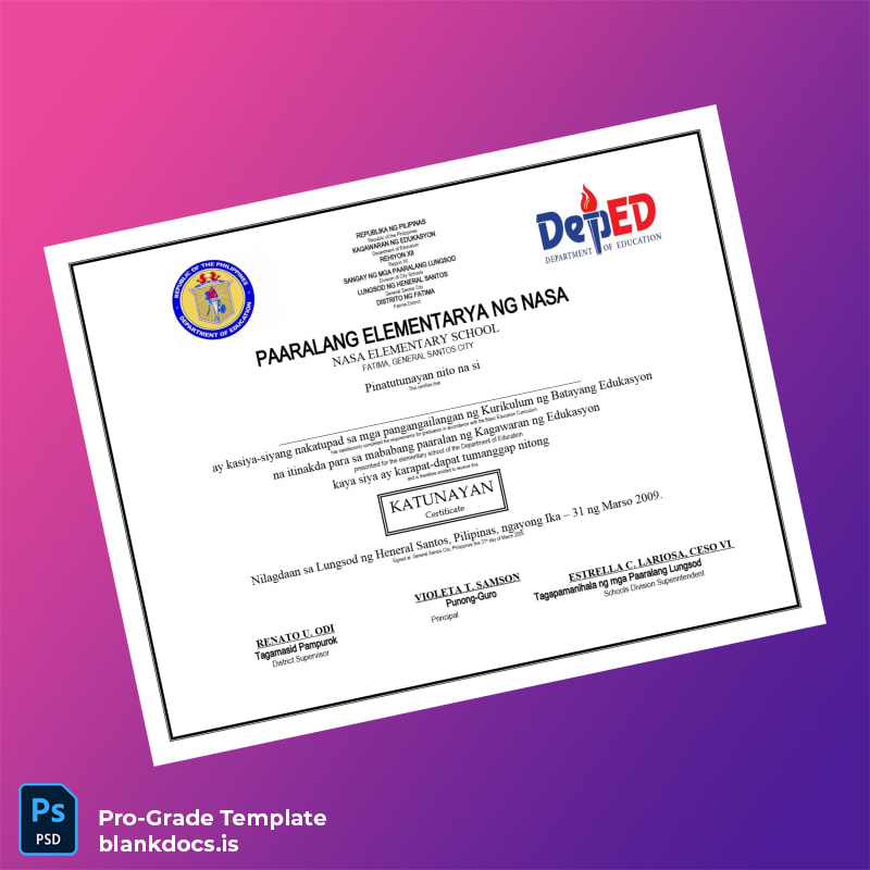 Blank Philippines NASA Elementary School Certificate Template Document Preview - BlankDocs
