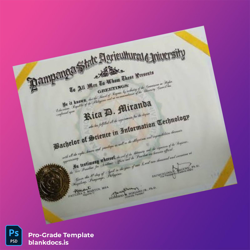 Blank Philippines Pampanga State Agricultural University Bachelor of Science in Information Technology Template Document Preview - BlankDocs