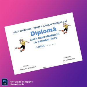 Blank Romania Liceul Tehnologic Ion It G Andron Negrești Oaș Diploma for Handball Girls Document Preview - BlankDocs