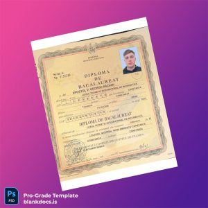 Blank Romania Liceul Teoretic Internațional de Informatică High School Diploma Document Preview - BlankDocs