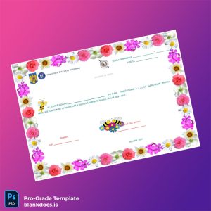 Blank Romania School Certificate of Merit for Preparatory Class A 2016-2017 Document Preview - BlankDocs