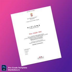 Blank Serbia Megatrend University Bachelor in Economics Document Preview - BlankDocs