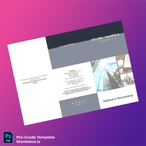 Blank South Africa Nelson Mandela University Diploma in Accountancy Template Document Preview - BlankDocs