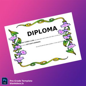 Blank Spain CEIP Santa Bárbara Early Childhood Education Diploma Document Preview - BlankDocs