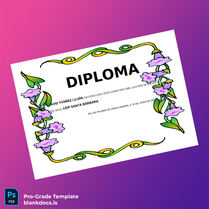 Blank Spain CEIP Santa Bárbara Early Childhood Education Diploma Document Preview - BlankDocs