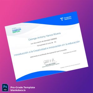 Blank Spain Fundación Telefónica Introduction to Creativity and Innovation in Education Certificate Document Preview - BlankDocs