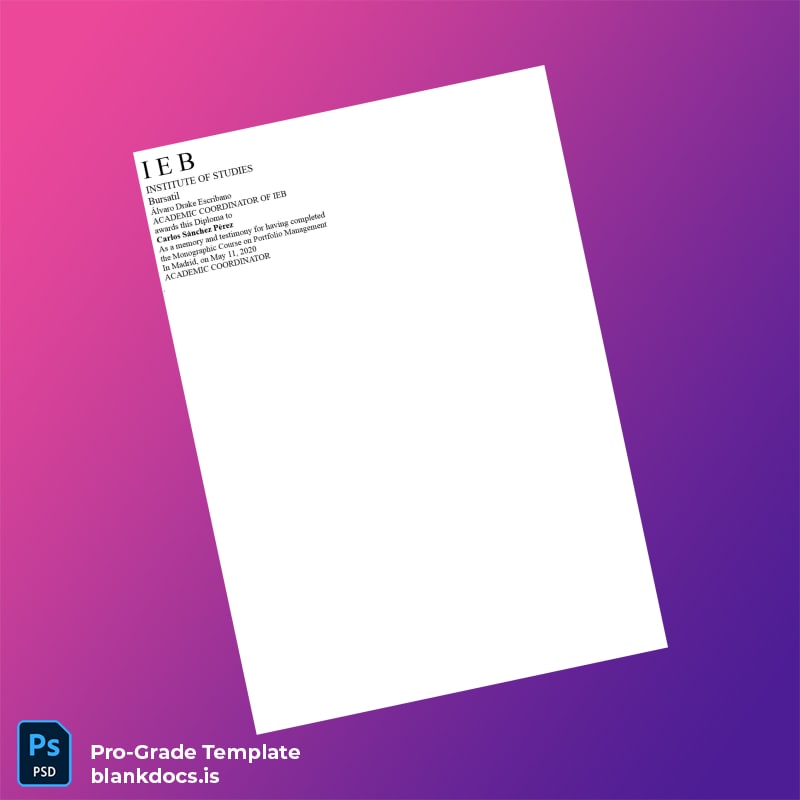 Blank Spain Instituto de Empresa Business School Diploma in Portfolio Management Template Document Preview - BlankDocs