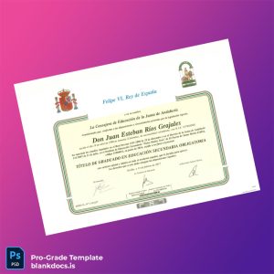 Blank Spain Junta de Andalucía Graduated Secondary Education Diploma Template Document Preview - BlankDocs