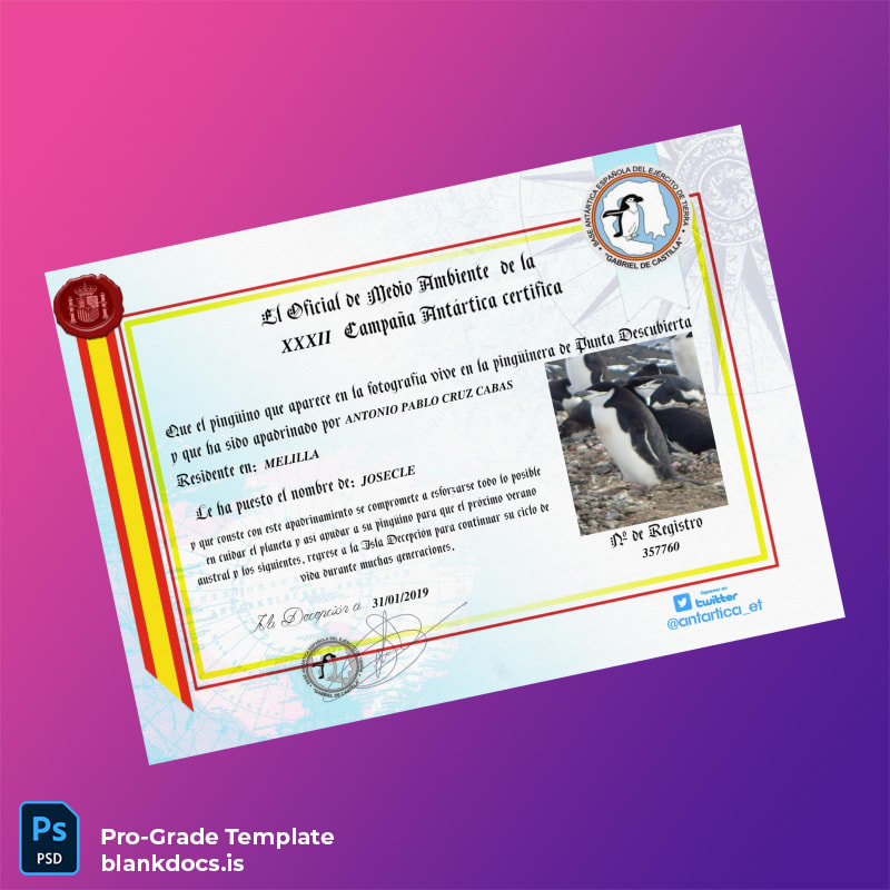 Blank Spain Official Environmental Body XXXII Antarctic Campaign Certificate Document Preview - BlankDocs