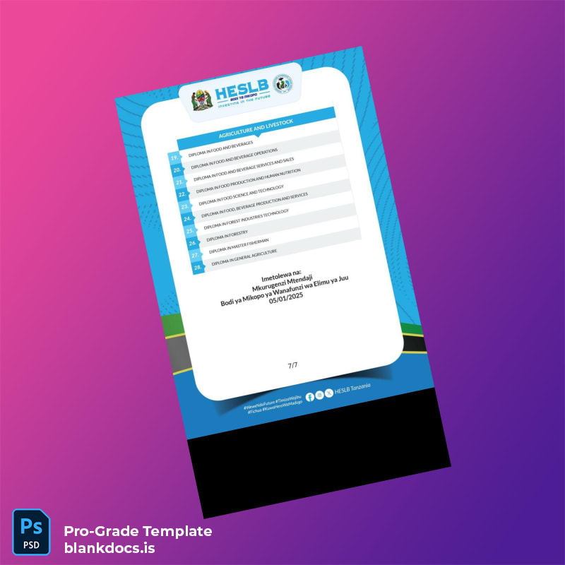 Blank Tanzania Mikopo Diploma Template page 8 Document Preview - BlankDocs