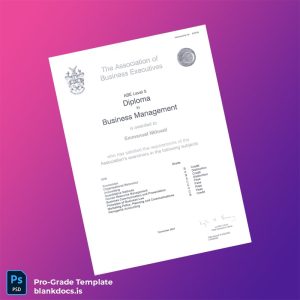 Blank UK ABE Level 5 Diploma in Business Management Document Preview - BlankDocs