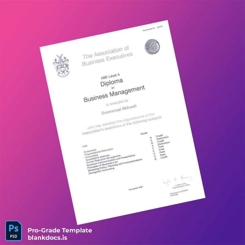Blank UK ABE Level 5 Diploma in Business Management Document Preview - BlankDocs