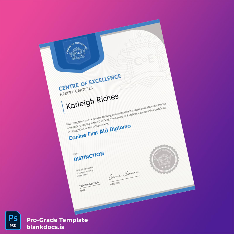 Blank UK Centre of Excellence Canine First Aid Diploma Template Document Preview - BlankDocs