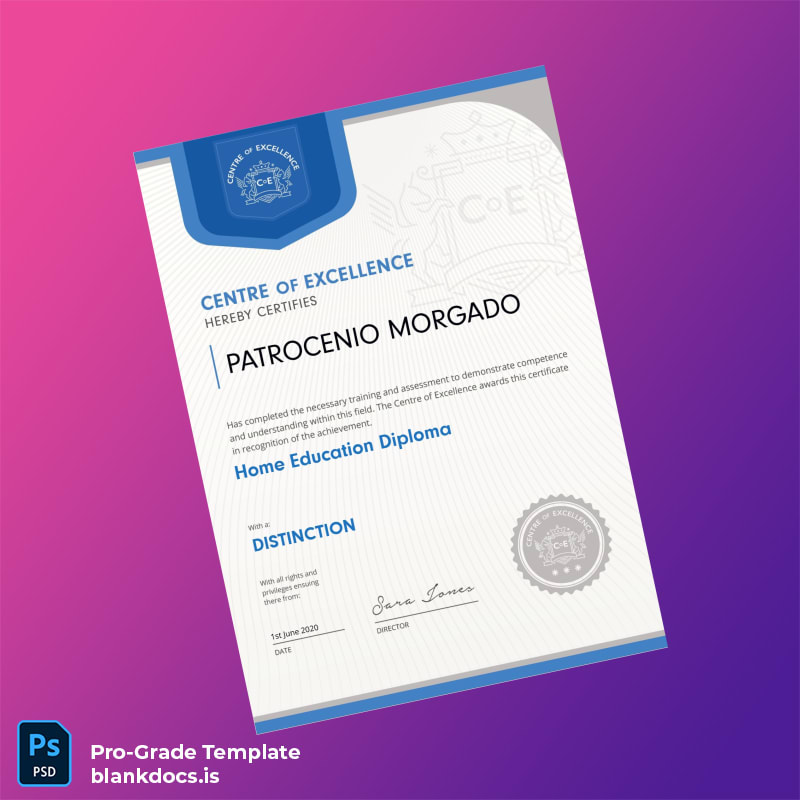 Blank UK Centre of Excellence Home Education Diploma Document Preview - BlankDocs