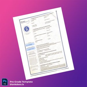 Blank USA National Research University Bachelor of Arts in History Template Document Preview - BlankDocs