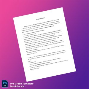 Blank Unknown Country Unknown Institute Dubla Diploma Template Document Preview - BlankDocs