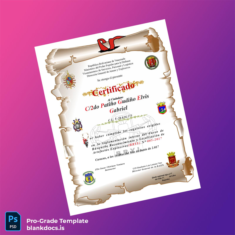 Blank Venezuela Bryl Course Certificate Document Preview - BlankDocs